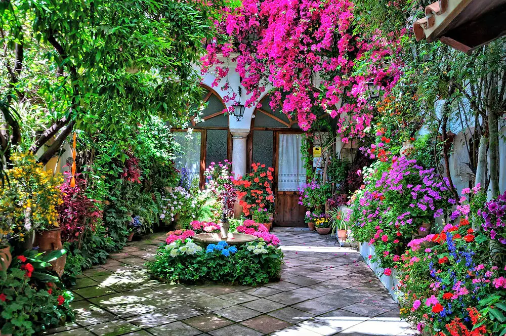 Los Patios de Córdoba
